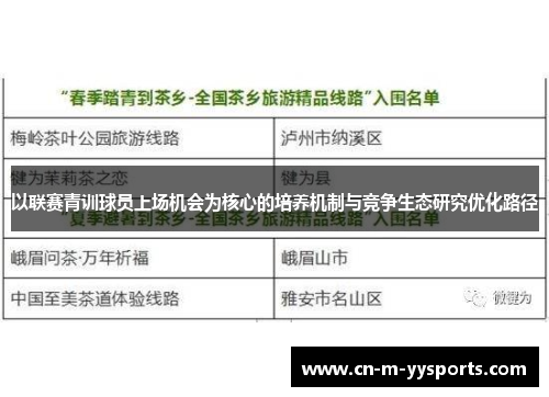 以联赛青训球员上场机会为核心的培养机制与竞争生态研究优化路径