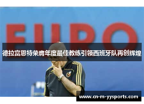 德拉富恩特荣膺年度最佳教练引领西班牙队再创辉煌 德拉富恩特荣膺年度最佳教练引领西班牙队再创辉煌